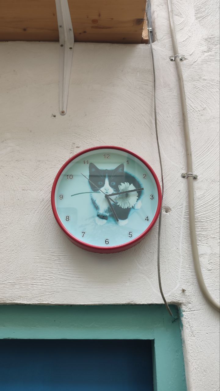 photo_2023-04-01 22.50.24.jpeg